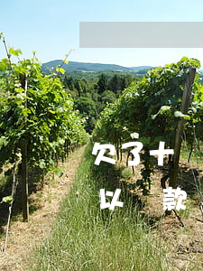 欠了十幾萬(wàn)網(wǎng)貸可以貸款還嗎(欠了十幾萬(wàn)網(wǎng)貸可以貸款還嗎)