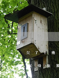 欠了十幾萬(wàn)網(wǎng)貸把父母拖累了(欠了十幾萬(wàn)網(wǎng)貸把父母拖累了)