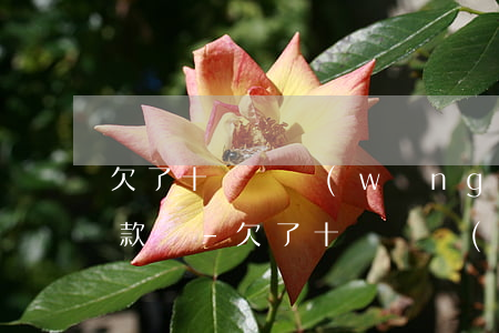 欠了十幾萬網(wǎng)貸可以到銀行貸款嗎-欠了十幾萬網(wǎng)貸可以到銀行貸款嗎知乎