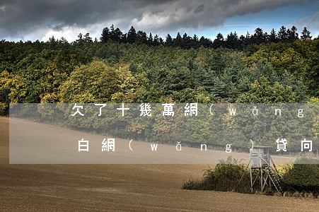 欠了十幾萬網(wǎng)貸怎么跟媳婦坦白(網(wǎng)貸向老婆坦白)