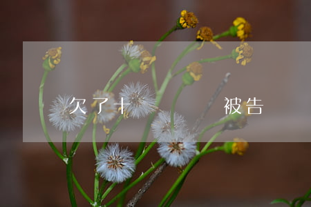 欠了十幾萬網貸被告(網貸欠2千多被起訴)