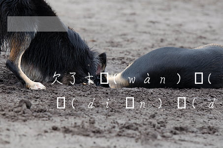 欠了十萬(wàn)網(wǎng)貸是一點(diǎn)點(diǎn)還還是創(chuàng)業(yè)-欠了十萬(wàn)網(wǎng)貸是一點(diǎn)點(diǎn)還還是創(chuàng)業(yè)的