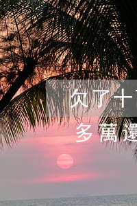 欠了十萬網(wǎng)貸還想買車(欠款十多萬還可以貸款買車嗎)