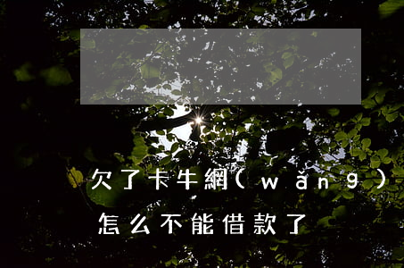 欠了卡牛網(wǎng)貸不還了(卡牛最近怎么不能借款了)