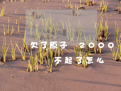 欠了原子貸2000會(huì)怎樣(原子貸還不起了怎么辦)