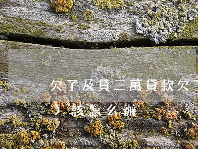 欠了及貸三萬(貸款欠了三萬多應(yīng)該怎么辦)