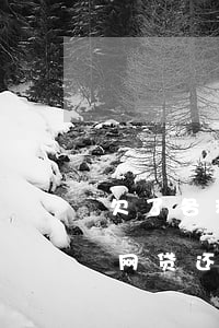 欠了各种网贷还不上怎么办知乎-欠了各种网贷还不上怎么办知乎