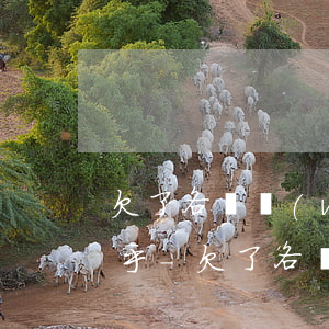 欠了各種網(wǎng)貸還不上怎么辦知乎-欠了各種網(wǎng)貸還不上怎么辦知乎