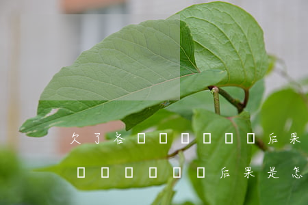 欠了各種網貸沒錢還后果是怎樣的-欠了各種網貸沒錢還后果是怎樣的呢