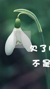 欠了哪些網(wǎng)貸怎么查(怎么查是不是欠網(wǎng)貸)