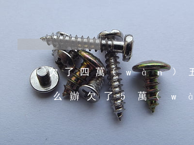 欠了四萬(wàn)五網(wǎng)貸怎么辦(欠了5萬(wàn)網(wǎng)貸怎么辦)