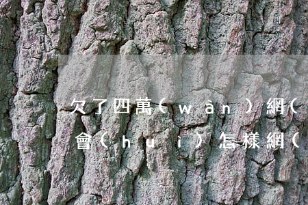 欠了四萬(wàn)網(wǎng)貸不還會(huì)怎樣(網(wǎng)貸4萬(wàn)不還會(huì)怎么樣)