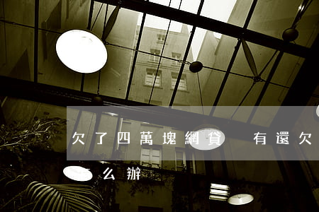 欠了四萬塊網貸沒有還(欠網貸4萬塊沒錢還怎么辦)