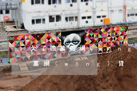 欠了四萬的網(wǎng)貸怎么辦(欠了4萬網(wǎng)貸)