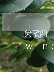 欠了四萬的網(wǎng)貸沒有工作(網(wǎng)貸欠了四萬多)