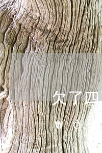 欠了四萬網(wǎng)貸-欠了四萬網(wǎng)貸怎么給父母說