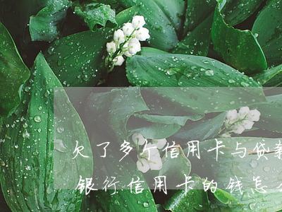 欠了多个信用卡与贷款该怎么处理-欠多个银行信用卡的钱怎么办