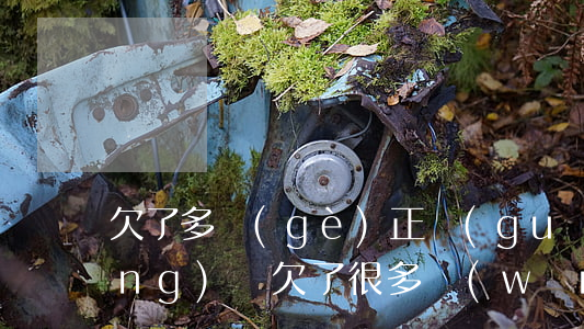 欠了多個(gè)正規(guī)網(wǎng)貸(欠了很多網(wǎng)貸)