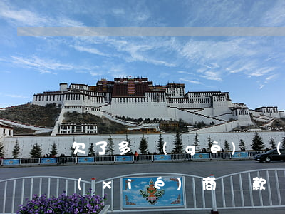 欠了多個(gè)網(wǎng)貸怎么協(xié)商還款(網(wǎng)貸協(xié)商還款怎么還)