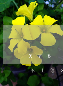 欠了多個(gè)網(wǎng)貸真的還不上怎么辦(有很多網(wǎng)貸還不上怎么辦)