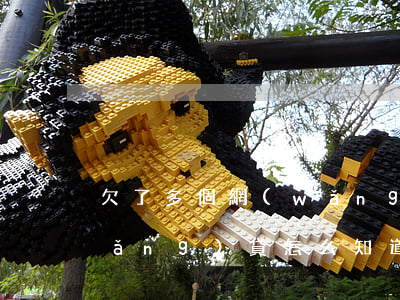 欠了多個網(wǎng)貸(欠了多個網(wǎng)貸怎么知道是那個網(wǎng)貸起訴的)