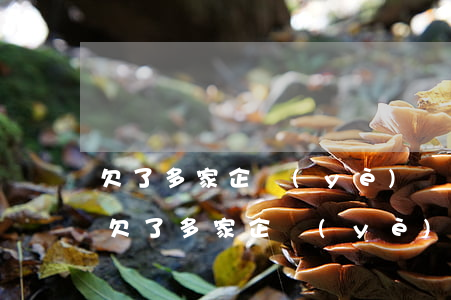 欠了多家企業(yè)銀行信用卡怎么辦-欠了多家企業(yè)銀行信用卡怎么辦理