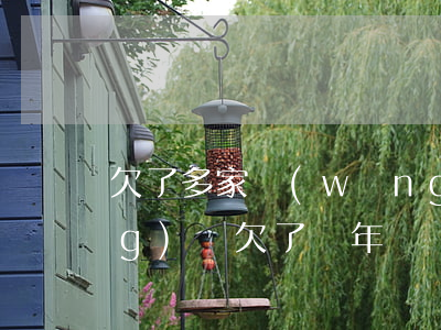 欠了多家網(wǎng)貸一年(網(wǎng)貸欠了幾年)