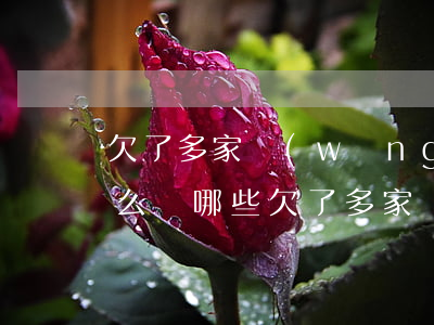 欠了多家網(wǎng)貸會(huì)怎么樣(哪些欠了多家網(wǎng)貸還不上的人,到最后都怎么樣了?)