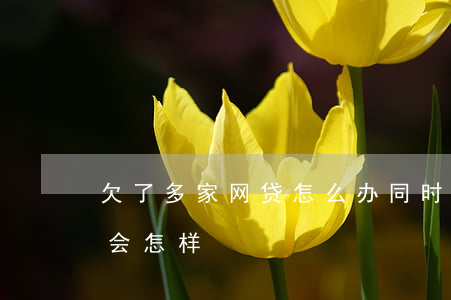 欠了多家网贷怎么办(同时欠了多家网贷不还会怎样)
