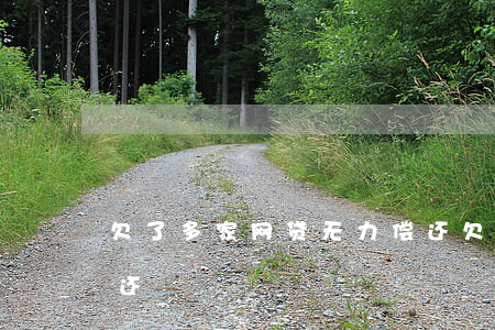 欠了多家网贷无力偿还(欠了多家网贷无力偿还)