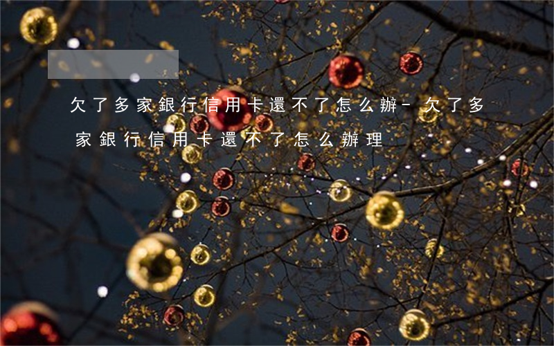 欠了多家銀行信用卡還不了怎么辦-欠了多家銀行信用卡還不了怎么辦理