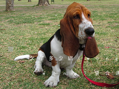 欠了多少網(wǎng)貸合適(欠了多少網(wǎng)貸合適)
