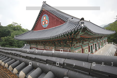 欠了大量網(wǎng)貸怎么和家里人說(網(wǎng)貸欠了一萬多怎么跟家里說)