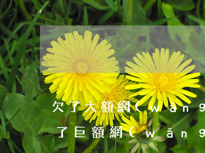 欠了大額網(wǎng)貸還不上怎么辦(欠了巨額網(wǎng)貸還不上應該怎么辦)
