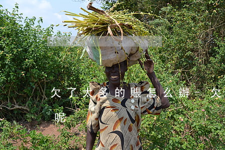 欠了太多的賬怎么辦-欠了太多的賬怎么辦呢