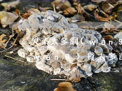 欠了太多網(wǎng)貸 不記得多少(網(wǎng)貸太多還不上怎么辦欠了好幾十個(gè))