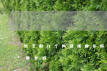 欠了好几个网贷信用卡好办吗(网贷多好办信用卡吗)