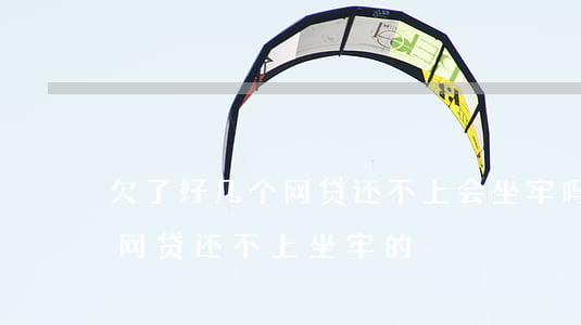 欠了好几个网贷还不上会坐牢吗(有没有因为网贷还不上坐牢的)