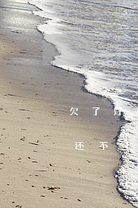 欠了好几个网贷还不上怎么办(我有几个网贷还不上怎么办)