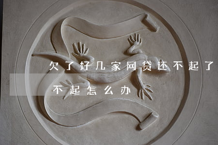 欠了好几家网贷还不起了怎么办(网贷欠款还不起怎么办)