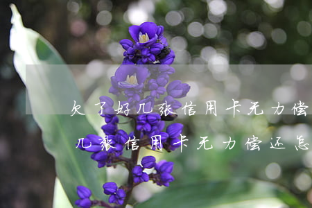 欠了好几张信用卡无力偿还怎么办-欠了好几张信用卡无力偿还怎么办呢
