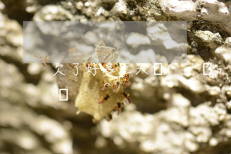 欠了好多七天網(wǎng)貸還不上怎么辦