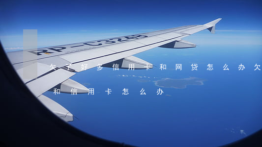 欠了好多信用卡和网贷怎么办(欠了很多网贷和信用卡怎么办)