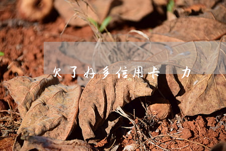 欠了好多信用卡無力償還怎么辦