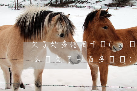 欠了好多信用卡網(wǎng)貸還不上怎么辦(欠了一百多萬網(wǎng)貸和信用卡還不上怎么辦)