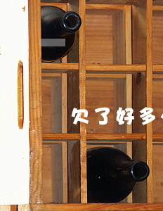 欠了好多外債無力償還(欠了好多外債無力償還)