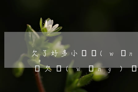 欠了好多小額網(wǎng)貸沒錢還怎么辦(欠網(wǎng)貸沒有錢還怎么辦)
