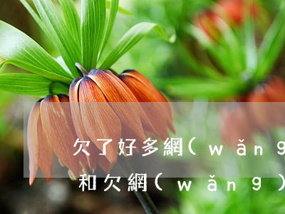欠了好多網(wǎng)貸信用卡(欠信用卡和欠網(wǎng)貸哪個(gè)嚴(yán)重)