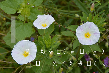 欠了好多網(wǎng)貸就不能辦信用卡了嗎-欠了好多網(wǎng)貸就不能辦信用卡了嗎為什么