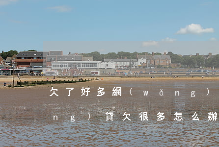 欠了好多網(wǎng)貸怎么還(網(wǎng)貸欠很多怎么辦)